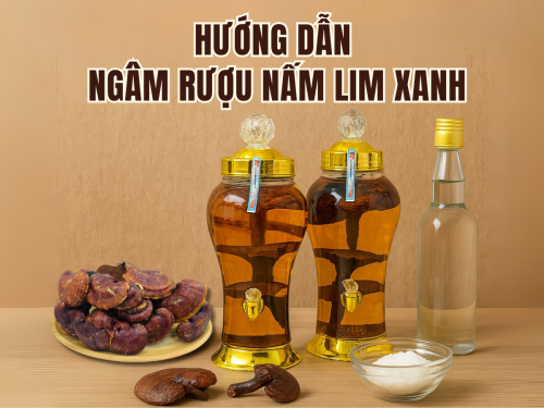 Hướng dẫn chi tiết cách ngâm rượu nấm Lim Xanh giữ trọn dược chất